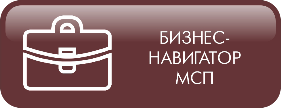 Бизнес навигатор МСП